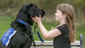 Illustration : Une jeune fille autiste se mettait constamment en danger jusqu’à ce qu’un chien d’assistance entre dans sa vie
