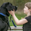 Illustration : Une jeune fille autiste se mettait constamment en danger jusqu’à ce qu’un chien d’assistance entre dans sa vie