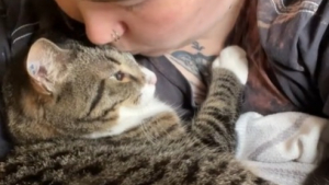 Illustration : Ce chat fait comprendre à sa maîtresse à quel point elle lui a manqué pendant ses 2 semaines de vacances (vidéo)