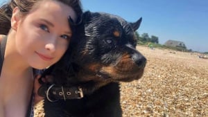 Illustration : Condamné à combattre, ce Rottweiler était si doux qu’il a choisi un tout autre destin