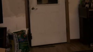 Illustration : Un chat dévoile à sa famille désemparée le mystère de la porte de garage qui s'ouvrait systématiquement
