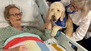 Illustration : Sa carrière de chien de thérapie ne fait que débuter, mais Ted apporte déjà de la joie aux patients qu'il visite