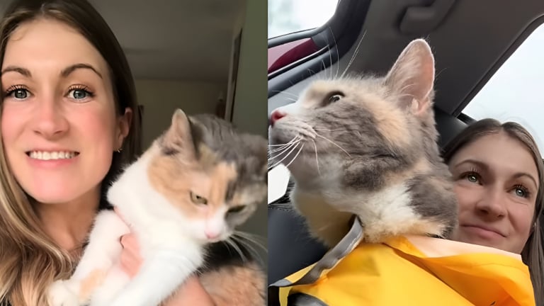 Son expérience avec le chat