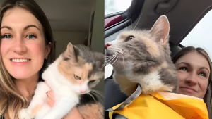Illustration : Son expérience avec le chat "grincheux" de son regretté grand-père la marque à vie et l'encourage à créer une association