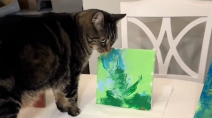 Illustration : Ce chat tigré explore son côté artistique en participant à une activité de peinture avec ses frères et sœurs à fourrure (vidéo)