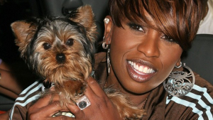 Illustration : Missy Elliott, “reine du hip-hop”, avoue avoir reporté sa tournée pour rester aux côtés de son chien en fin de vie