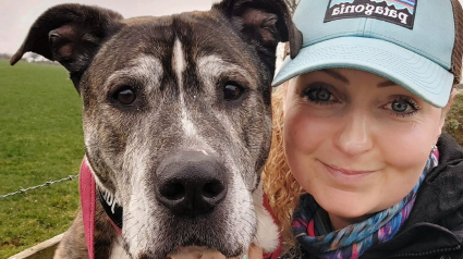 Illustration : Touchée par la disparition prématurée d’un chien qu’elle promenait, une ancienne bénévole du refuge collecte des fonds pour lui ériger un mémorial 