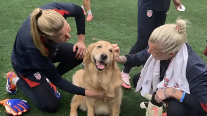 Illustration : Une visite surprise de chiens thérapeutiques aide une équipe olympique féminine de football à se relaxer (vidéo)