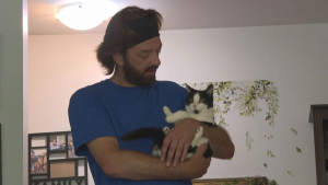 Illustration : Le choc d’une famille qui retrouve sa chatte perdue à 165 km de chez elle après 8 ans d’absence (vidéo)