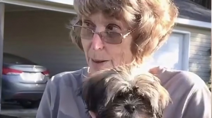 Illustration : Une chienne sauve la vie de sa propriétaire de 81 ans qui a perdu connaissance en aboyant de toutes ses forces