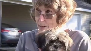 Illustration : Une chienne sauve la vie de sa propriétaire de 81 ans qui a perdu connaissance en aboyant de toutes ses forces