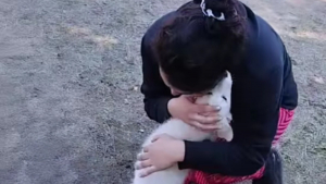 Illustration : Alors qu'elle s'apprête à dire adieu à son vieux chien, un chiot surgit de nulle part et elle voit cela comme un signe