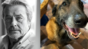 Illustration : "Loubo le chien d'Alain Delon 