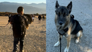 Illustration : Des randonneurs sauvent un chien abandonné en montagne, le soignent et en font leur mascotte