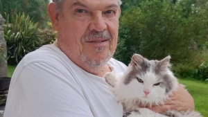 Illustration : Les retrouvailles inespérées d'un chat perdu en Norvège et sa famille normande après un an de séparation