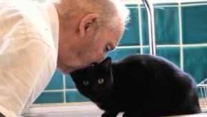 Illustration : Après le décès de sa femme, un homme âgé reprend tendrement goût à la vie grâce à son chat (vidéo)