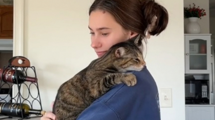 Illustration : Elle adresse un message poignant à la chatte qu'elle vient d'adopter et qui souffre d'hyper-attachement (vidéo)