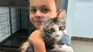 Illustration : Pour financer l’adoption de son chat, ce garçon de 6 ans propose un service dédié au ramassage de déjections canines 