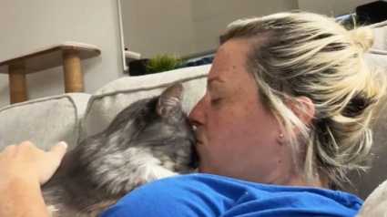 Illustration : La relation touchante d’une chatte de 18 ans atteinte de démence avec sa maîtresse (vidéo) 
