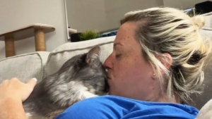 Illustration : La relation touchante d’une chatte de 18 ans atteinte de démence avec sa maîtresse (vidéo) 