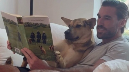 Illustration : Ce chien adore se blottir contre son maître pour qu’il lui lise une histoire (vidéo)