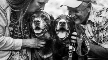 Illustration : 16 photos montrant l’amour incommensurable entre des propriétaires et leur chat ou leur chien