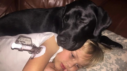Illustration : 15 photos qui vous feront comprendre qu’avoir un chien rend la vie bien plus belle
