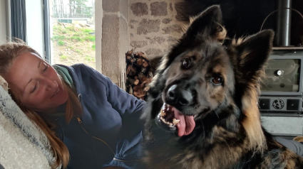 Illustration : Ce chien qui travaille depuis 4 ans pour affronter ses peurs et rêve de trouver sa famille pour la vie ne reçoit aucune demande d'adoption 