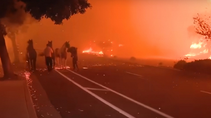 Illustration : Des personnes risquent leur vie pour sauver plusieurs chevaux des incendies ravageurs