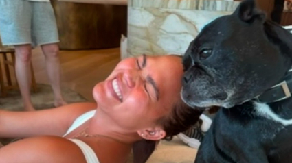 Illustration : Le mannequin Chrissy Teigen annonce la disparition de sa chienne et lui rend un émouvant hommage