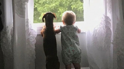 Illustration : 20 photos hilarantes qui prouvent que la vie avec un chien est une aventure quotidienne