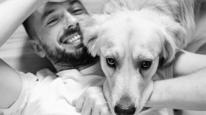 Illustration : 12 super-pouvoirs qui permettent à votre chien de détecter vos émotions
