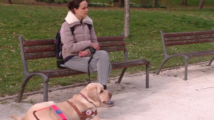 Illustration : Une femme malvoyante accompagnée de son chien guide se voit refuser l’accès à une épicerie 