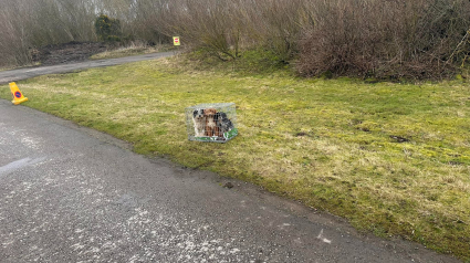 Illustration : Une promeneuse découvre 3 chiens abandonnés dans une cage en pleine nature et le comportement du propriétaire suscite l'indignation