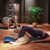 Illustration : Votre chien est-il fait pour le doga ?