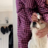 Illustration : La propri&eacute;taire d&rsquo;un chien de 22 ans partage sa routine hors du commun qui est un mod&egrave;le de bienveillance (vid&eacute;o)