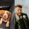 Illustration : Aujourd’hui marié, ce couple revient sur sa belle rencontre permise par Fiona, une chienne errante rencontrée à la suite d’une randonnée (vidéo)