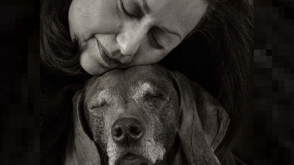 Illustration : "18 clichés canins d'exception présentés lors d'un concours photo et célébrant la beauté du chien"