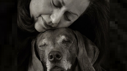 Illustration : 18 clichés canins d'exception présentés lors d'un concours photo et célébrant la beauté du chien