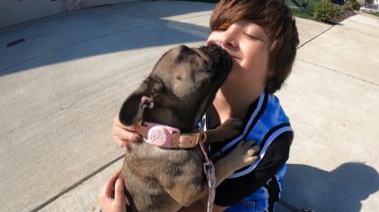Illustration : Disparue pendant plus d’une semaine, cette adorable chienne est retrouvée par un enfant de 10 ans