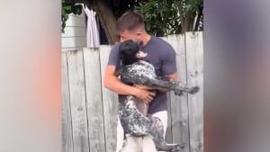 Illustration : "Un homme qui avait peur que sa chienne préférée ne l'oublie après 2 ans d'absence reçoit la meilleure réponse (vidéo)"