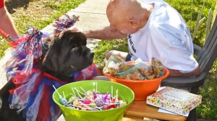 Illustration : Cet amoureux des chiens n’en a jamais eu, mais pour ses 95 ans, tout un quartier lui offre une parade canine surprise