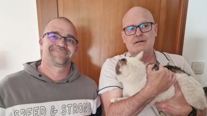 Illustration : Un chat rentre auprès de sa famille après 2 ans d'absence grâce à la présence d'esprit d'un habitant qu'il visitait régulièrement