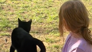 Illustration : "La vidéo touchante d’un chat donnant la réplique en chanson à sa jeune maîtresse "