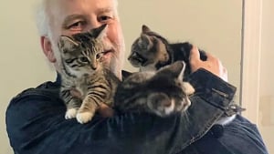 Illustration : "L'adoption d'un chaton par une femme en entraîne 3 autres par un couple d'amis qui ne prévoyait pas d'être autre chose que famille d'accueil"