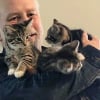 Illustration : L'adoption d'un chaton par une femme en entraîne 3 autres par un couple d'amis qui ne prévoyait pas d'être autre chose que famille d'accueil