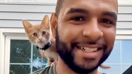 Illustration : Il sauve un chaton d’un baril d’eau sale sur un chantier, sans imaginer le lien qui allait naître