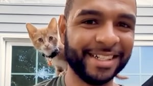 Illustration : Il sauve un chaton d’un baril d’eau sale sur un chantier, sans imaginer le lien qui allait naître