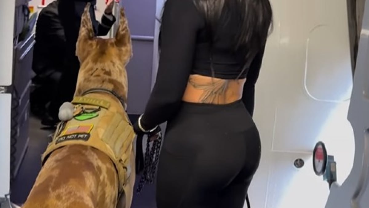Illustration : "Cette femme peut toujours compter sur son chien d'assistance géant, qui l'accompagne même en avion"