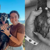 Illustration : Leur chien sénior vivant ses derniers jours, ils en font la star de leur mariage pour lui dire adieu (vidéo)